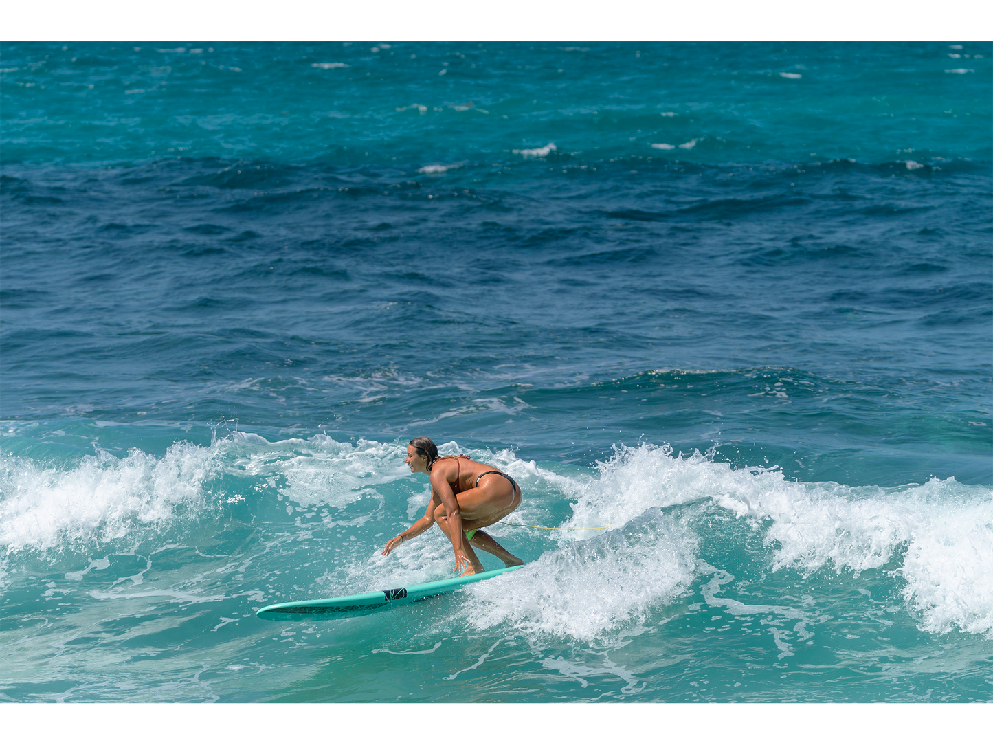 CYGNUS Surf / Soft-top