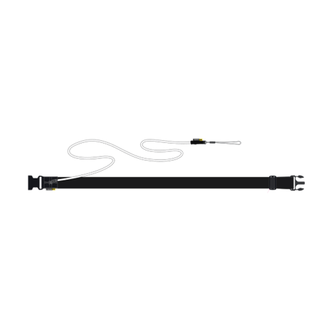 CORE Wingfoil Leash