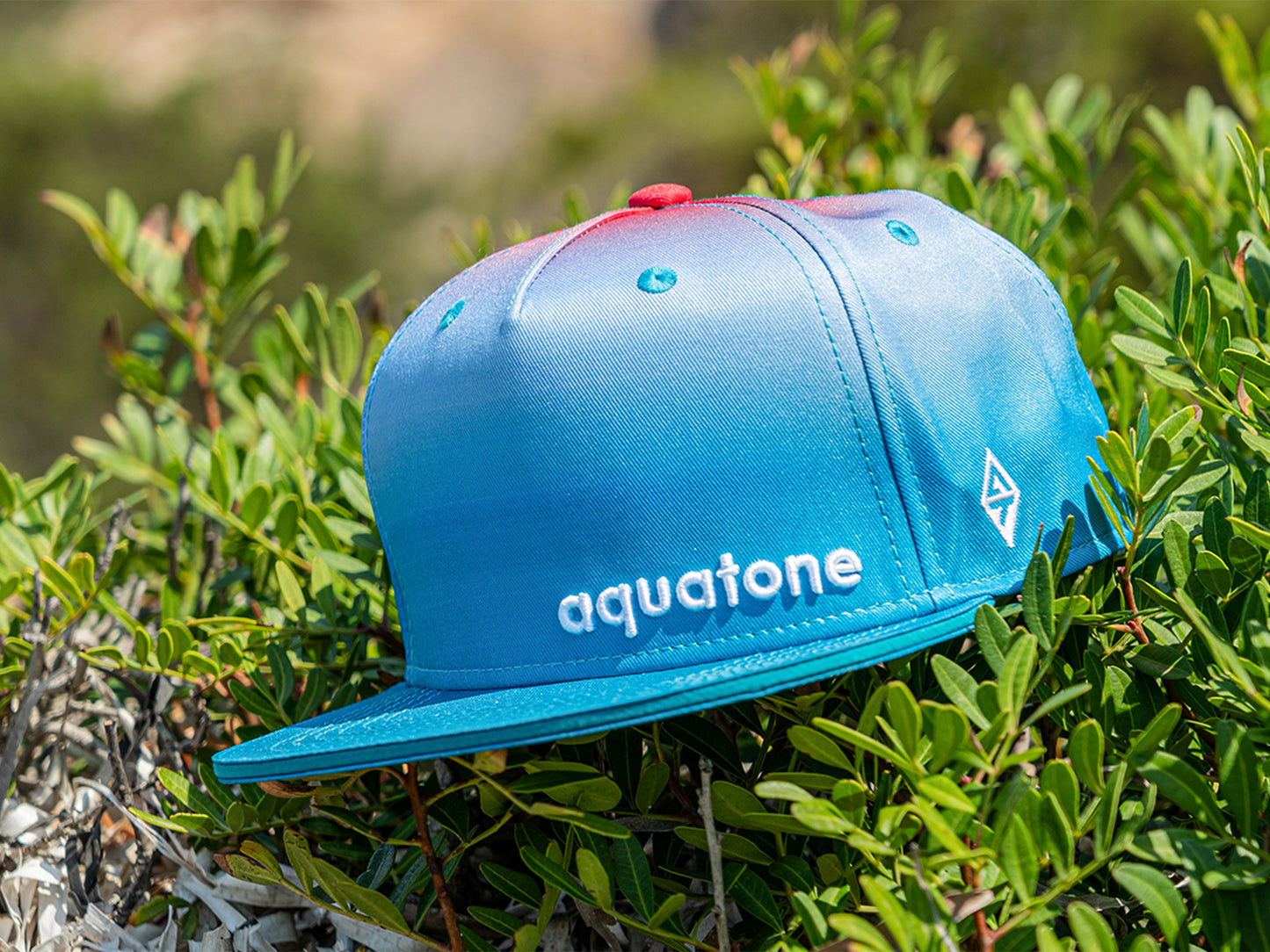 LOGO CAP